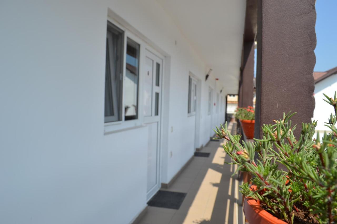 Pensiunea Bety Tutulesti Exterior photo